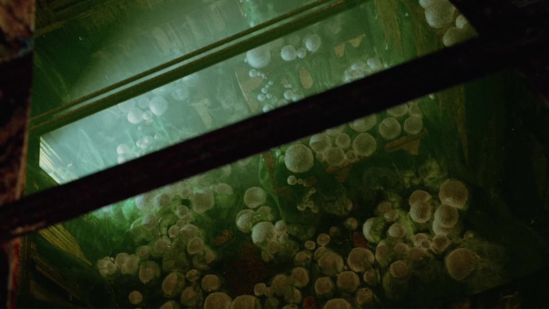 SeaBeast03423.jpg