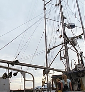 SeaBeast03890.jpg