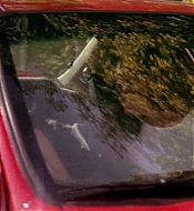 Filename=Degrassi6x0102088.jpg
Filesize=233KiB
Dimensions=1280x720
Date added=Oct 30, 2022 Degrassi6x0102088.jpg