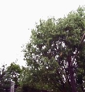 Filename=he02423.jpg
Filesize=258KiB
Dimensions=1280x720
Date added=May 24, 2023 he02423.jpg