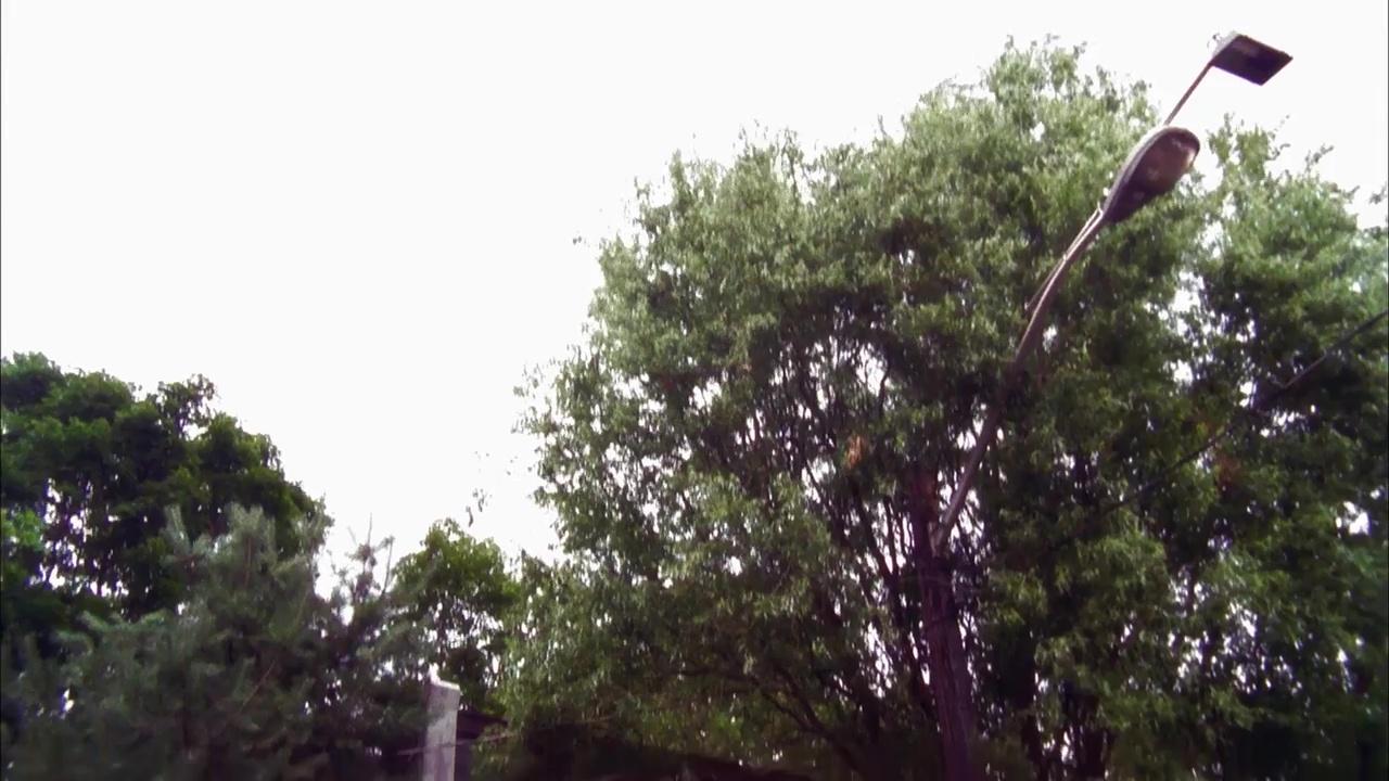 he00610.jpg