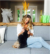 Filename=57306.png
Filesize=593KiB
Dimensions=688x720
Date added=Nov 25, 2021 57306.png