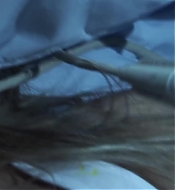 Filename=DD00920.jpg
Filesize=202KiB
Dimensions=1920x1080
Date added=Sep 04, 2021 DD00920.jpg