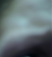 Filename=DD00969.jpg
Filesize=136KiB
Dimensions=1920x1080
Date added=Sep 04, 2021 DD00969.jpg