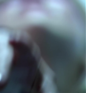 Filename=DD00978.jpg
Filesize=175KiB
Dimensions=1920x1080
Date added=Sep 04, 2021 DD00978.jpg