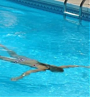 Filename=image17.jpg
Filesize=35KiB
Dimensions=535x330
Date added=Jan 06, 2022 image17.jpg