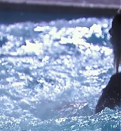 Filename=pitsshd03251.jpg
Filesize=242KiB
Dimensions=1280x720
Date added=Jul 24, 2018 pitsshd03251.jpg