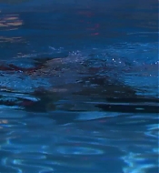 Filename=pitsshd03254.jpg
Filesize=148KiB
Dimensions=1280x720
Date added=Jul 24, 2018 pitsshd03254.jpg