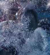 Filename=pitsshd03264.jpg
Filesize=289KiB
Dimensions=1280x720
Date added=Jul 24, 2018 pitsshd03264.jpg