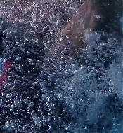 Filename=pitsshd03265.jpg
Filesize=294KiB
Dimensions=1280x720
Date added=Jul 24, 2018 pitsshd03265.jpg