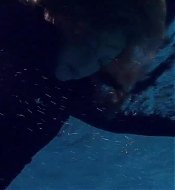 Filename=pitsshd03286.jpg
Filesize=140KiB
Dimensions=1280x720
Date added=Jul 24, 2018 pitsshd03286.jpg