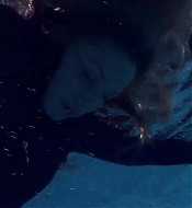 Filename=pitsshd03287.jpg
Filesize=128KiB
Dimensions=1280x720
Date added=Jul 24, 2018 pitsshd03287.jpg