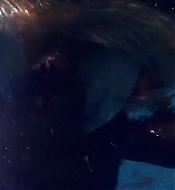 Filename=pitsshd03291.jpg
Filesize=130KiB
Dimensions=1280x720
Date added=Jul 24, 2018 pitsshd03291.jpg