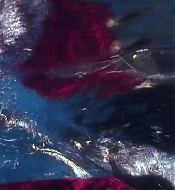 Filename=pitsshd03305.jpg
Filesize=211KiB
Dimensions=1280x720
Date added=Jul 24, 2018 pitsshd03305.jpg